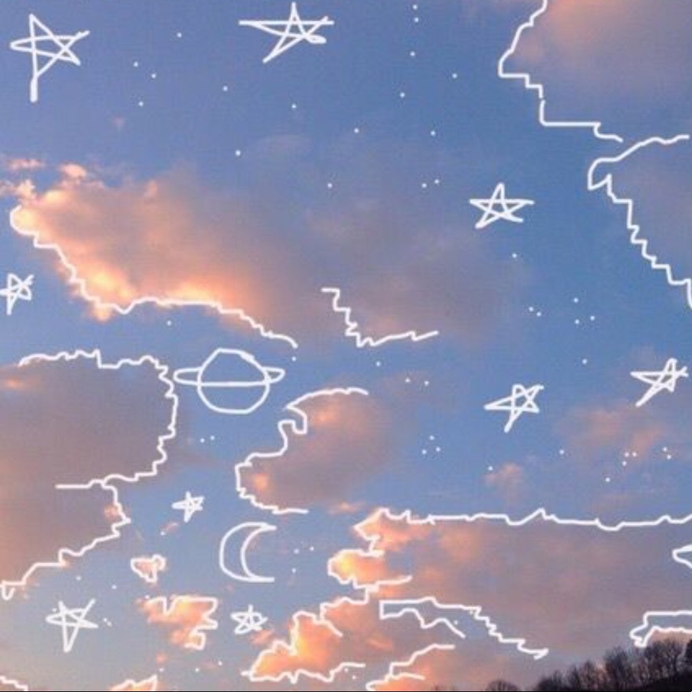 Meet your Posher, Karlee